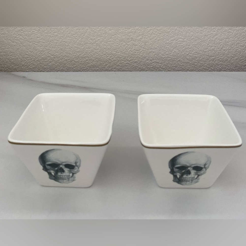 Ciroa Wicked Skelton Square Dessert Bowls Set of 2